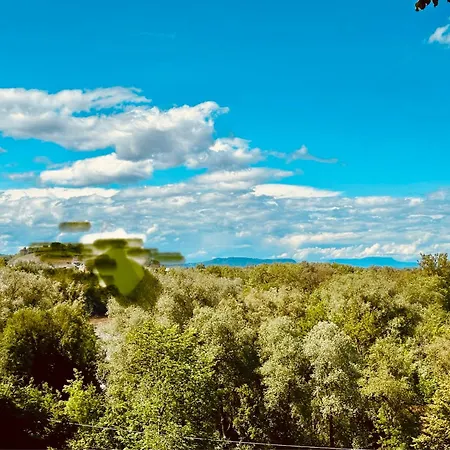 Georgi Schloss - Boutique 2*